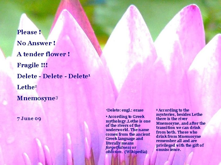 Please ! No Answer ! A tender flower ! Fragile !!! Delete - Delete