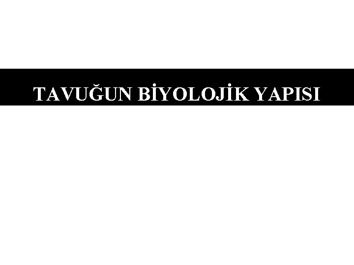 TAVUĞUN BİYOLOJİK YAPISI 