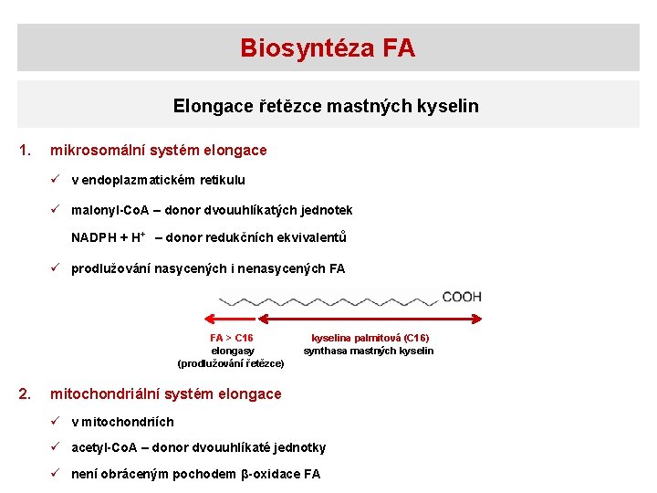 Biosyntéza FA Elongace řetězce mastných kyselin 1. mikrosomální systém elongace ü v endoplazmatickém retikulu