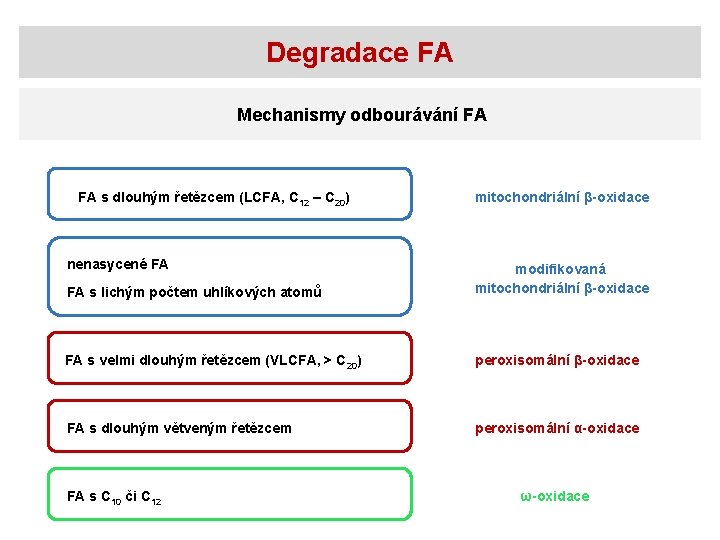 Degradace FA Mechanismy odbourávání FA FA s dlouhým řetězcem (LCFA, C 12 – C