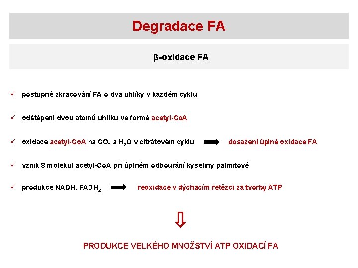 Degradace FA β-oxidace FA ü postupné zkracování FA o dva uhlíky v každém cyklu