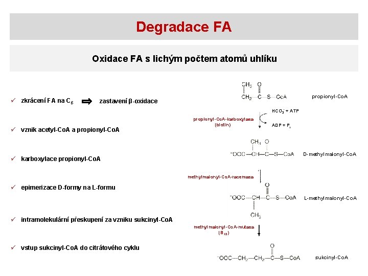 Degradace FA Oxidace FA s lichým počtem atomů uhlíku ü zkrácení FA na C