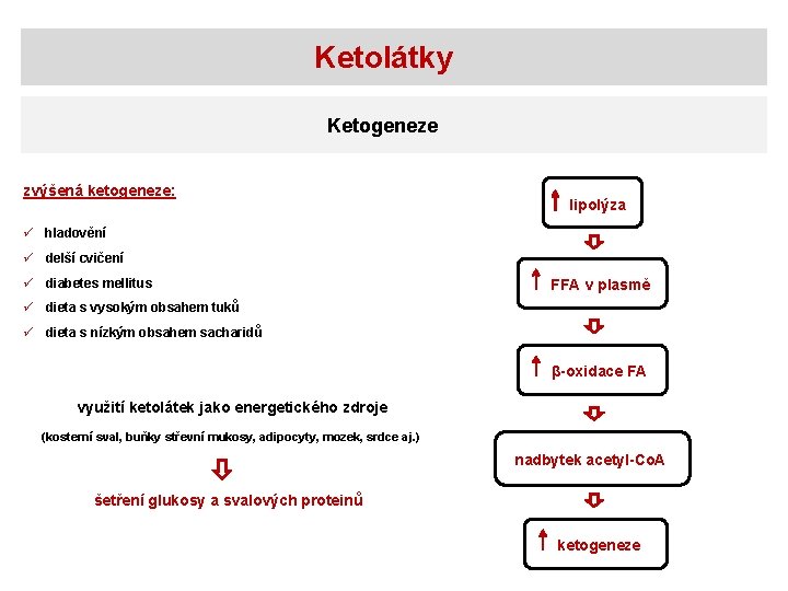 Ketolátky Ketogeneze zvýšená ketogeneze: lipolýza ü hladovění ü delší cvičení ü diabetes mellitus FFA