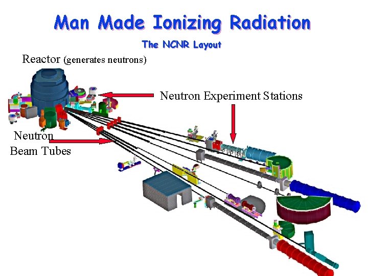 Man Made Ionizing Radiation The NCNR Layout Reactor (generates neutrons) Neutron Experiment Stations Neutron