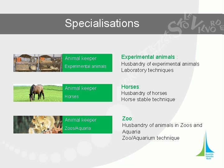 Specialisations Animal keeper Experimental animals Animal keeper Horses Husbandry of experimental animals Laboratory techniques