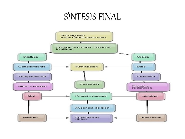 SÍNTESIS FINAL 