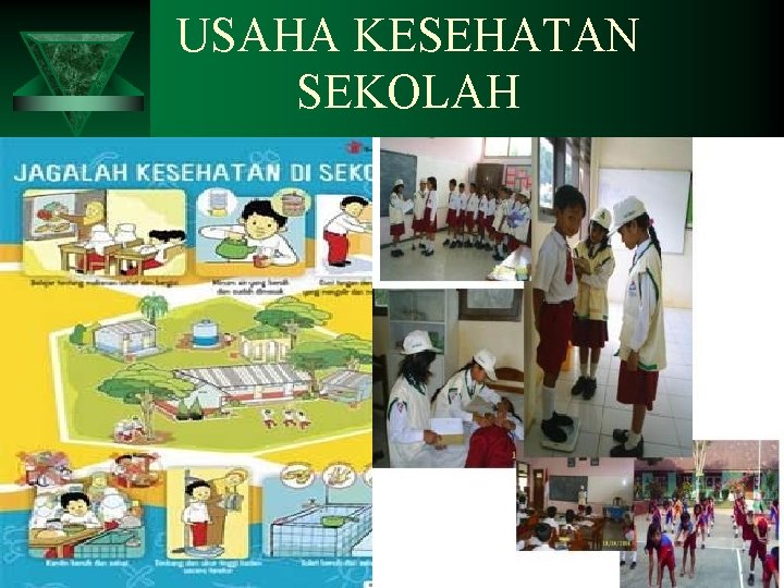 USAHA KESEHATAN SEKOLAH 