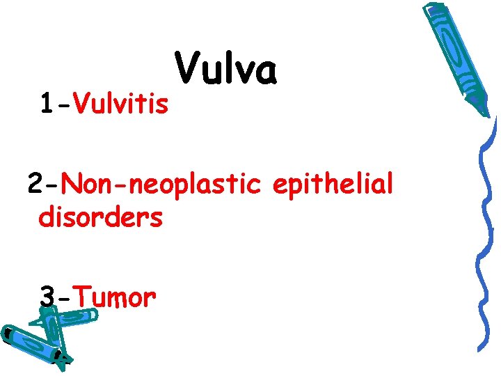 1 -Vulvitis Vulva 2 -Non-neoplastic epithelial disorders 3 -Tumor 