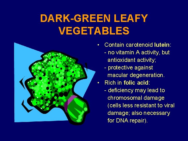 DARK-GREEN LEAFY VEGETABLES • Contain carotenoid lutein: - no vitamin A activity, but antioxidant