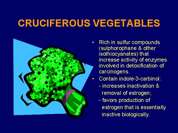 CRUCIFEROUS VEGETABLES • Rich in sulfur compounds (sulphorophane & other isothiocyanates) that increase activity
