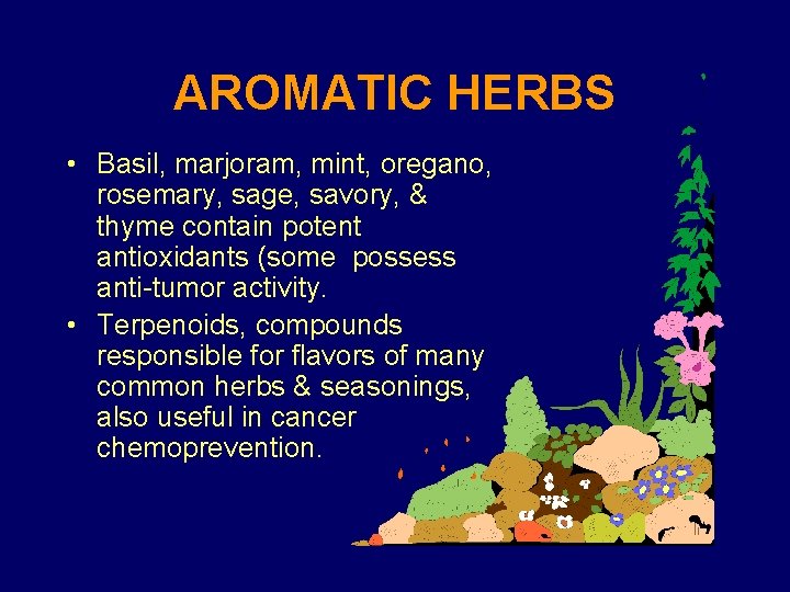 AROMATIC HERBS • Basil, marjoram, mint, oregano, rosemary, sage, savory, & thyme contain potent