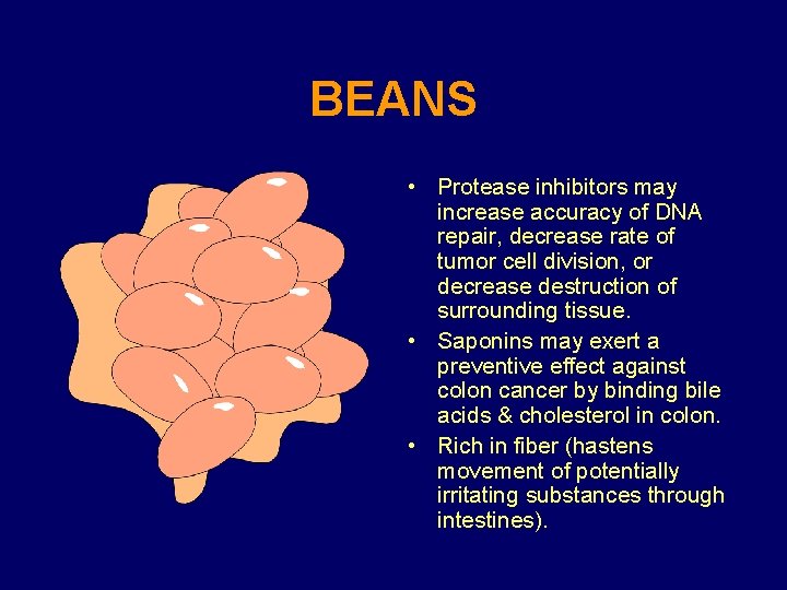 BEANS • Protease inhibitors may increase accuracy of DNA repair, decrease rate of tumor