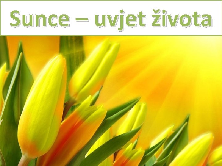 Sunce – uvjet života S 