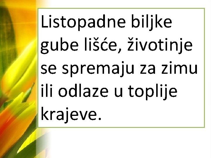 Listopadne biljke gube lišće, životinje se spremaju za zimu ili odlaze u toplije krajeve.