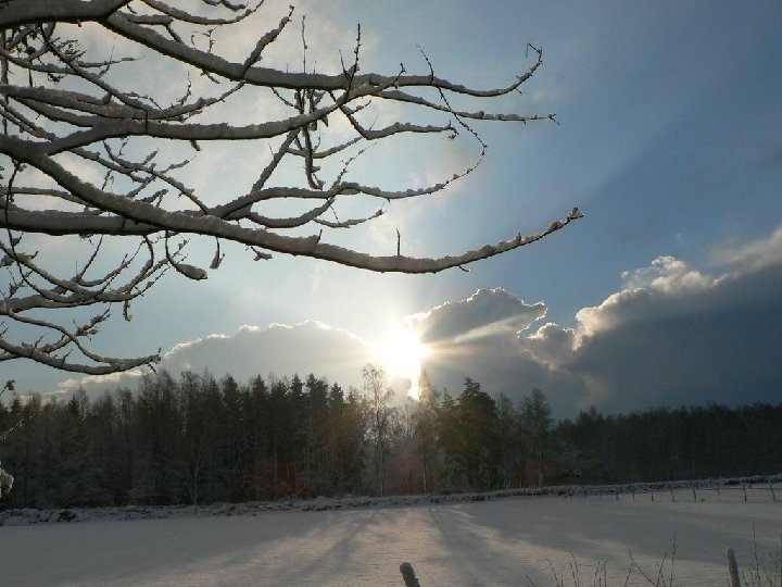 Tijekom zime najmanje je Sunčeve svjetlosti i topline. Dani su kratki, a temperatura zraka