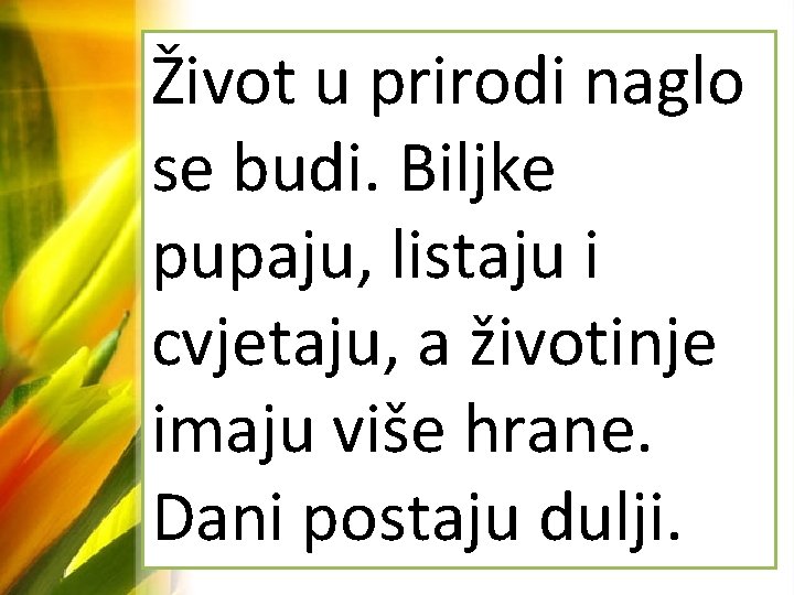 Život u prirodi naglo se budi. Biljke pupaju, listaju i cvjetaju, a životinje imaju