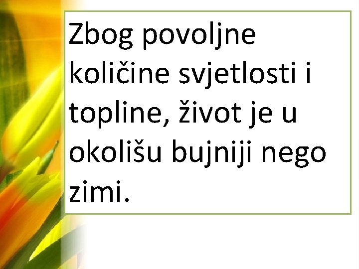 Zbog povoljne količine svjetlosti i topline, život je u okolišu bujniji nego zimi. 