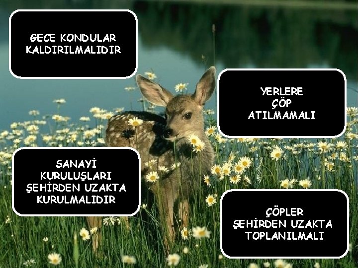 GECE KONDULAR KALDIRILMALIDIR YERLERE ÇÖP ATILMAMALI SANAYİ KURULUŞLARI ŞEHİRDEN UZAKTA KURULMALIDIR ÇÖPLER ŞEHİRDEN UZAKTA