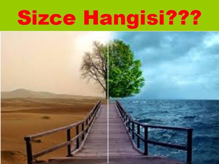 Sizce Hangisi? ? ? 