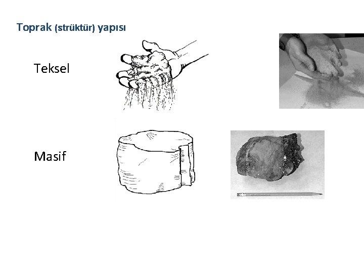 Toprak (strüktür) yapısı Teksel Masif Toprak (strüktür) yapısı Teksel Masif