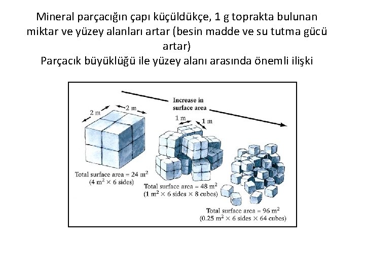 Mineral parçacığın çapı küçüldükçe, 1 g toprakta bulunan miktar ve yüzey alanları artar (besin