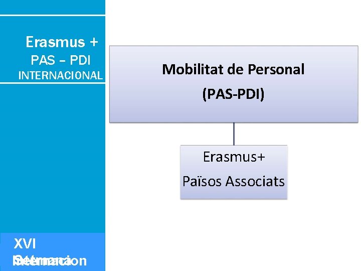 Erasmus + PAS – PDI INTERNACIONAL Mobilitat de Personal (PAS-PDI) Erasmus+ Països Associats XVI