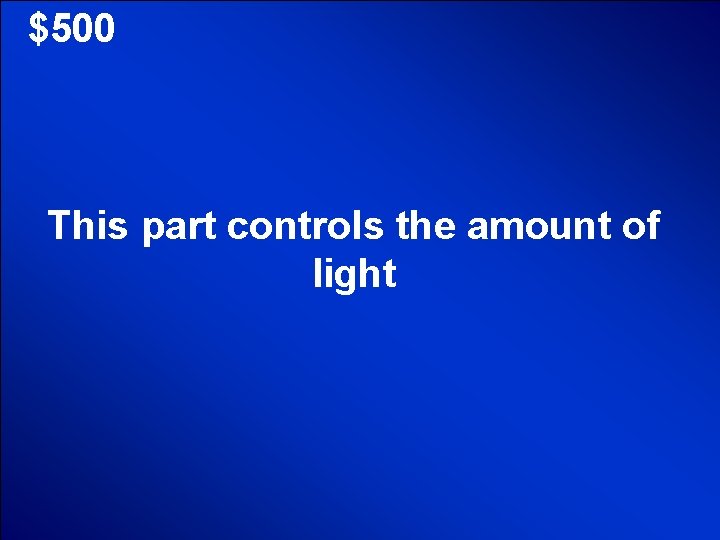 © Mark E. Damon - All Rights Reserved $500 This part controls the amount