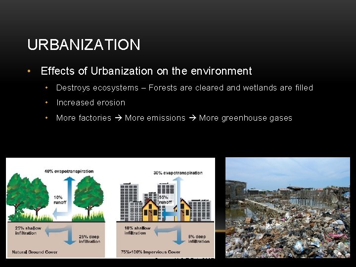 URBANIZATION • Effects of Urbanization on the environment • Destroys ecosystems – Forests are