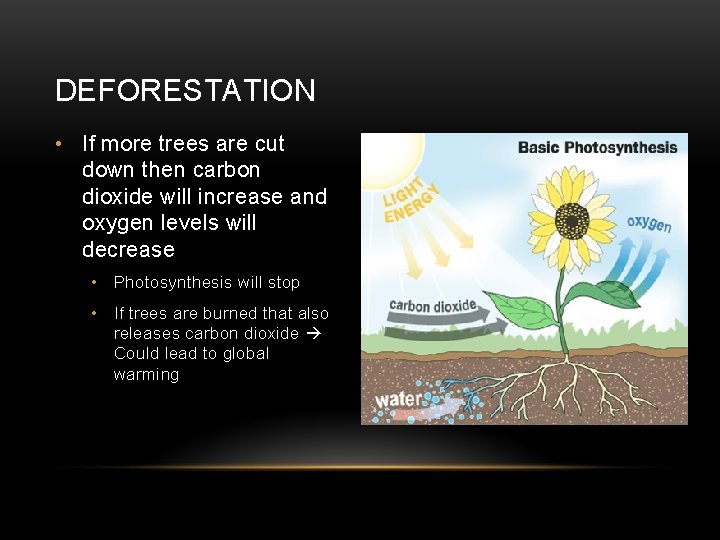 DEFORESTATION • If more trees are cut down then carbon dioxide will increase and