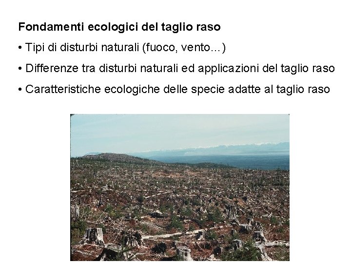 Fondamenti ecologici del taglio raso • Tipi di disturbi naturali (fuoco, vento…) • Differenze