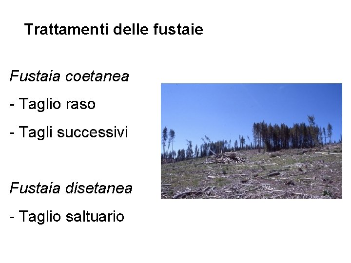 Trattamenti delle fustaie Fustaia coetanea - Taglio raso - Tagli successivi Fustaia disetanea -