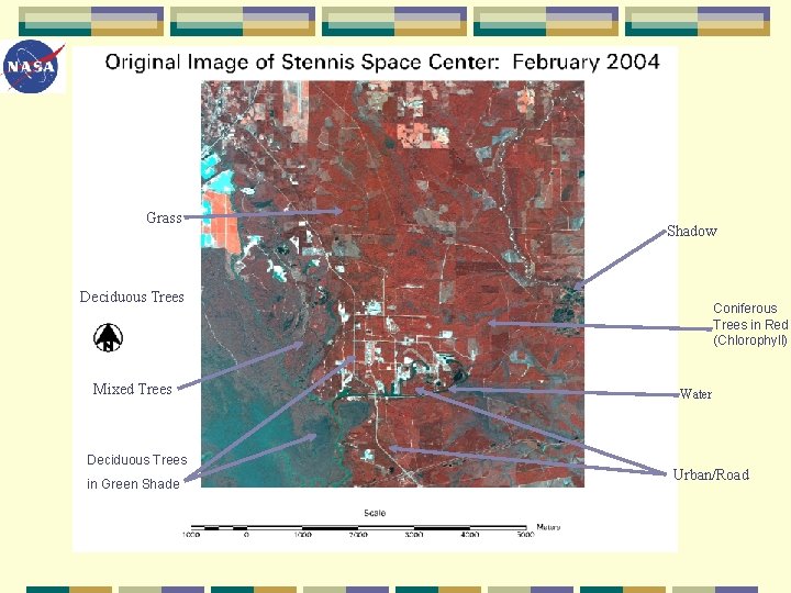 Grass Shadow Deciduous Trees Mixed Trees Deciduous Trees in Green Shade Coniferous Trees in