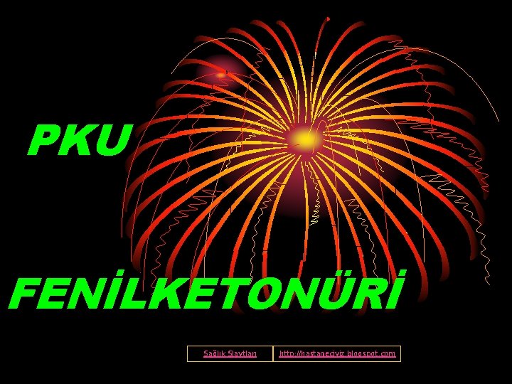PKU FENİLKETONÜRİ Sağlık Slaytları http: //hastaneciyiz. blogspot. com 