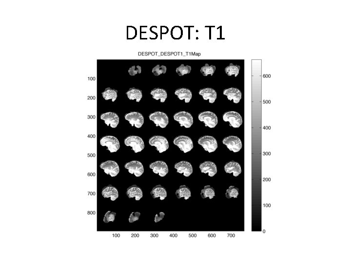 DESPOT: T 1 