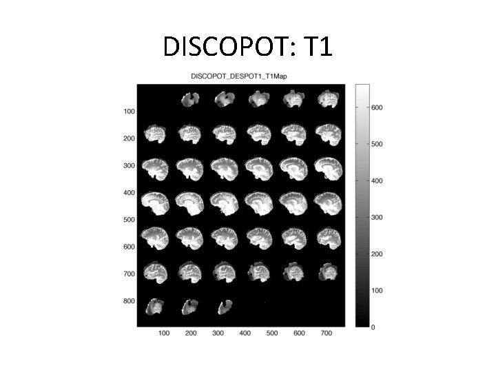 DISCOPOT: T 1 