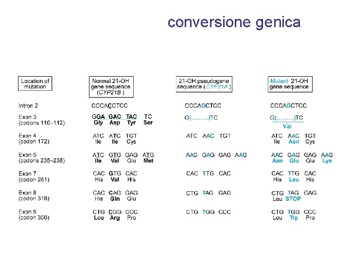 conversione genica 