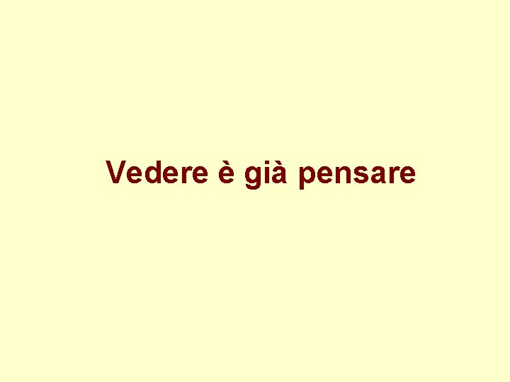 Vedere è già pensare 