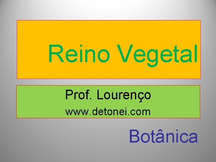 Reino Vegetal Prof. Lourenço www. detonei. com Botânica 