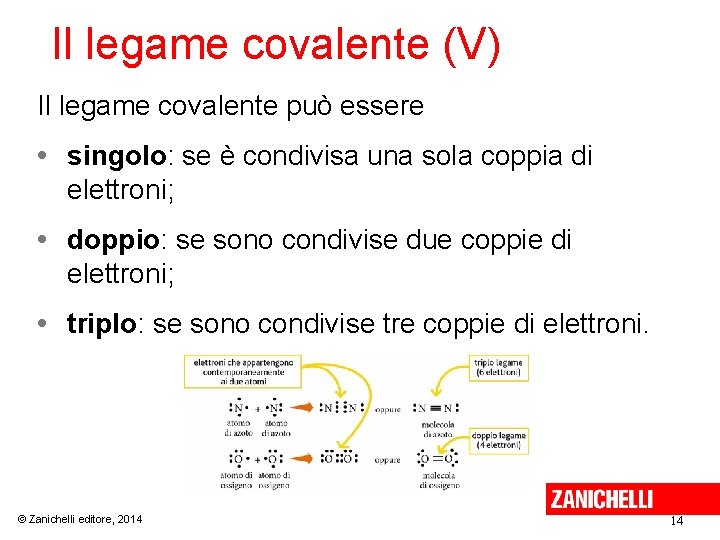 Il legame covalente (V) Il legame covalente può essere • singolo: se è condivisa