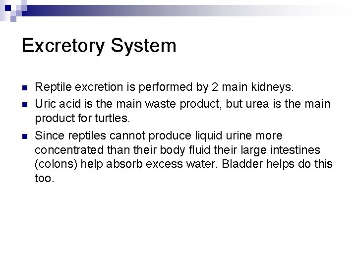 Excretory System n n n Reptile excretion is performed by 2 main kidneys. Uric