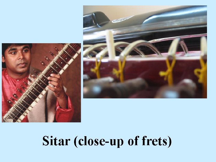 Sitar (close-up of frets) 