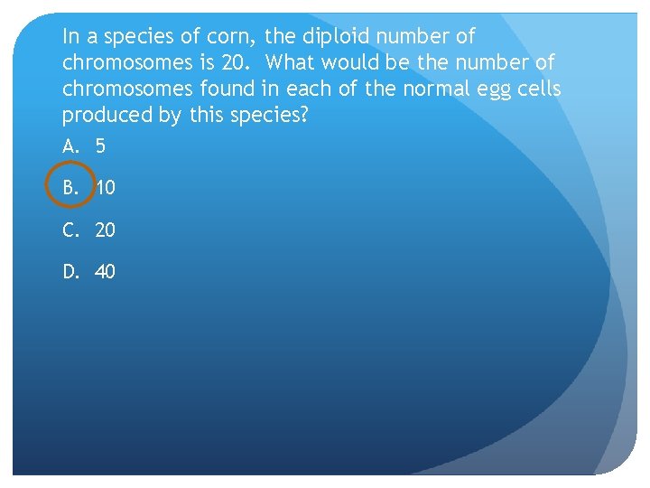 In a species of corn, the diploid number of chromosomes is 20. What would