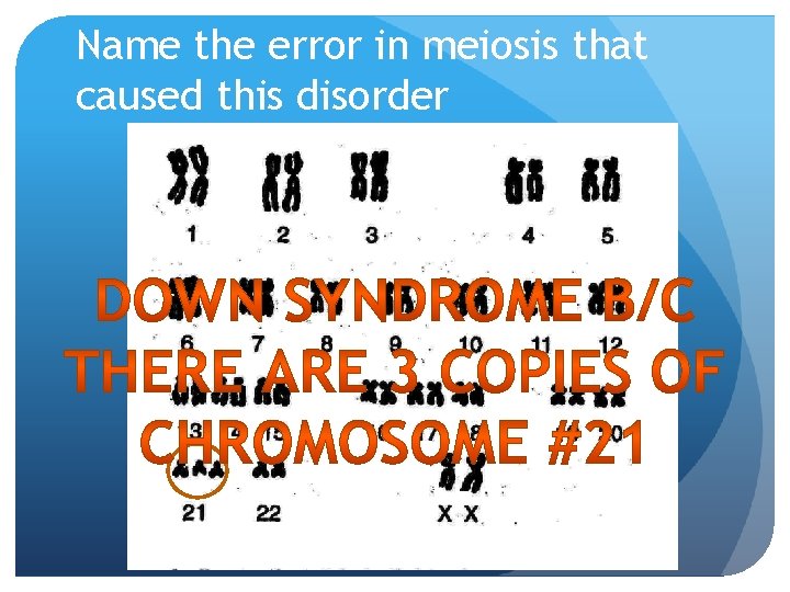 Name the error in meiosis that caused this disorder 