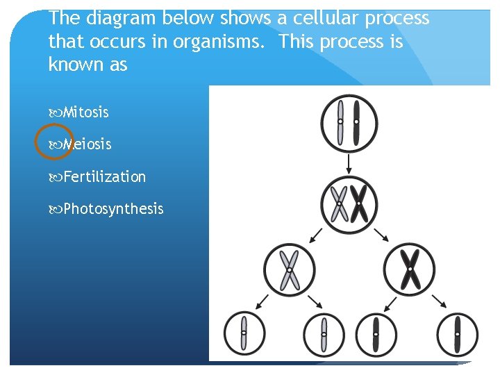 The diagram below shows a cellular process that occurs in organisms. This process is