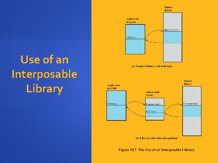 Use of an Interposable Library 