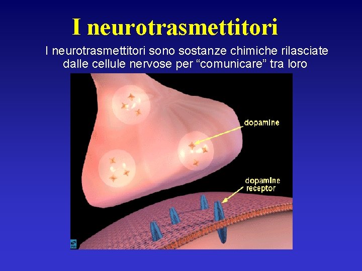 I neurotrasmettitori sono sostanze chimiche rilasciate dalle cellule nervose per “comunicare” tra loro 