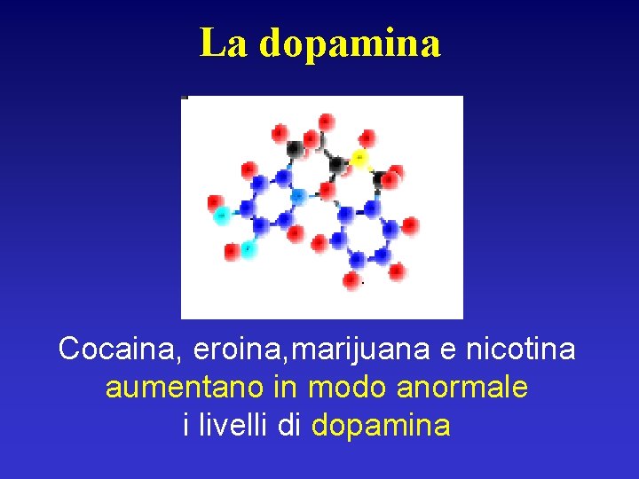 La dopamina Cocaina, eroina, marijuana e nicotina aumentano in modo anormale i livelli di