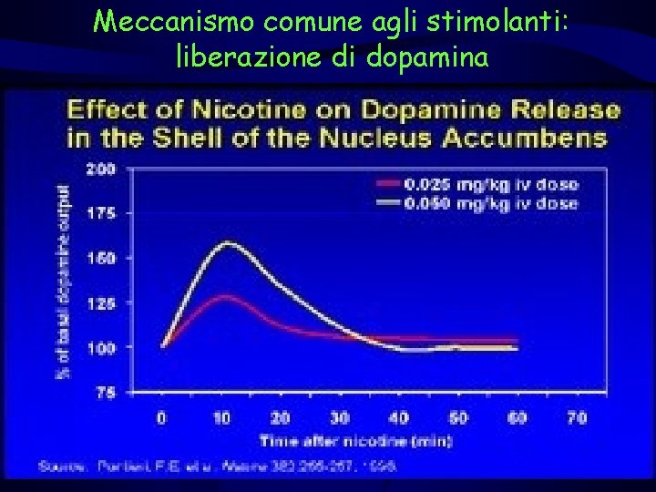 Meccanismo comune agli stimolanti: liberazione di dopamina 