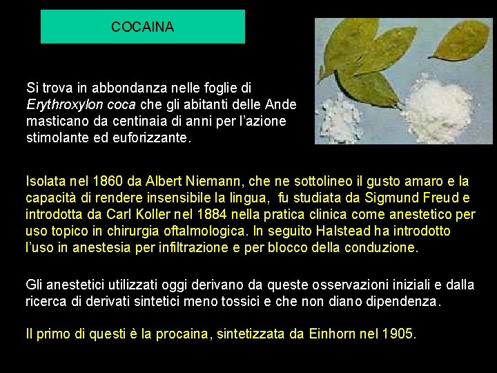 COCAINA Si trova in abbondanza nelle foglie di Erythroxylon coca che gli abitanti delle