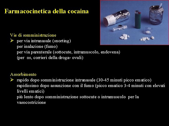 Farmacocinetica della cocaina Vie di somministrazione Ø per via intranasale (snorting) per inalazione (fumo)